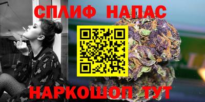 ешки Гагарин