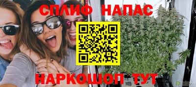 ешки Гагарин