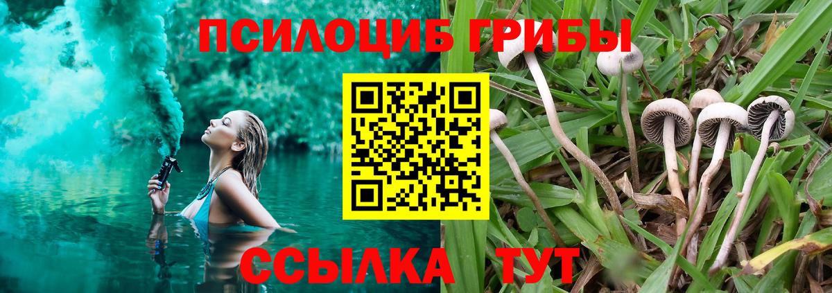 Галлюциногенные грибы MAGIC MUSHROOMS Мичуринск