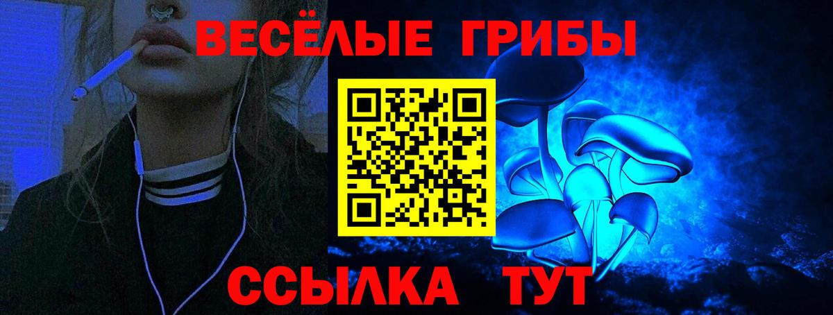 Мичуринск  Псилоцибиновые грибы мицелий  Псилоцибиновые грибы мицелий  Вход с VPN 